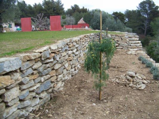 plantations d' oliviers sur la création de jardin à saint cyr les lecques